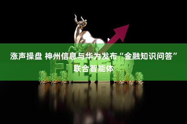 涨声操盘 神州信息与华为发布“金融知识问答”联合智能体