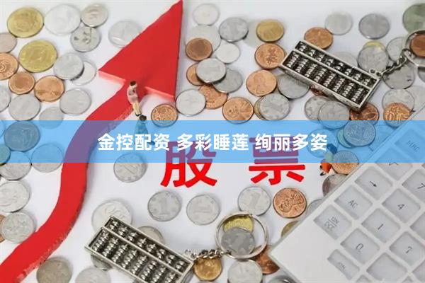 金控配资 多彩睡莲 绚丽多姿
