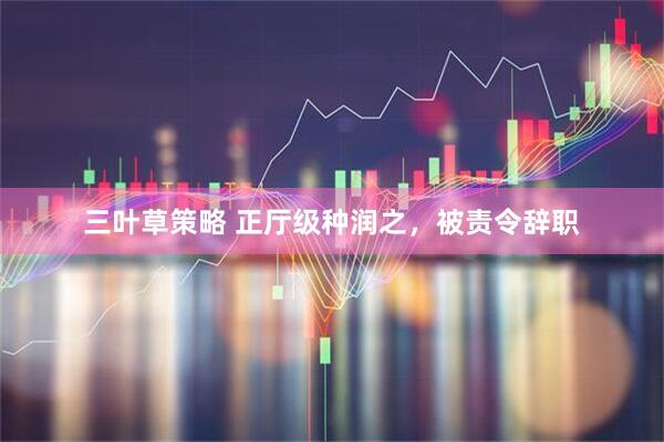 三叶草策略 正厅级种润之，被责令辞职