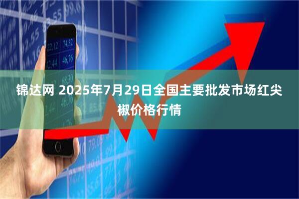 锦达网 2025年7月29日全国主要批发市场红尖椒价格行情