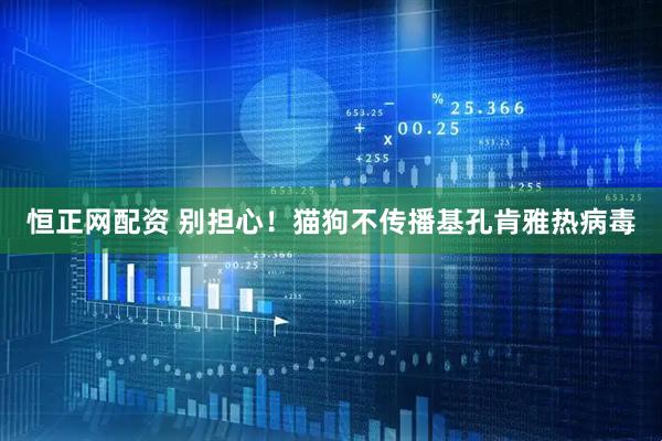 恒正网配资 别担心！猫狗不传播基孔肯雅热病毒