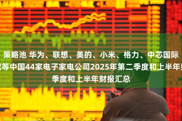 策略池 华为、联想、美的、小米、格力、中芯国际、寒武纪等中国44家电子家电公司2025年第二季度和上半年财报汇总