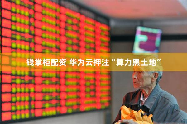 钱掌柜配资 华为云押注“算力黑土地”
