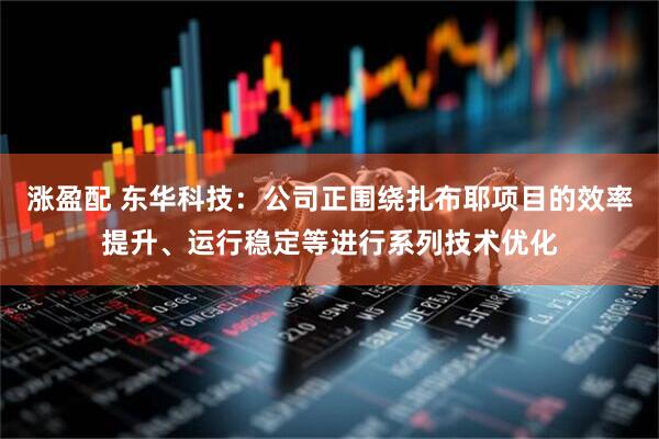涨盈配 东华科技：公司正围绕扎布耶项目的效率提升、运行稳定等进行系列技术优化